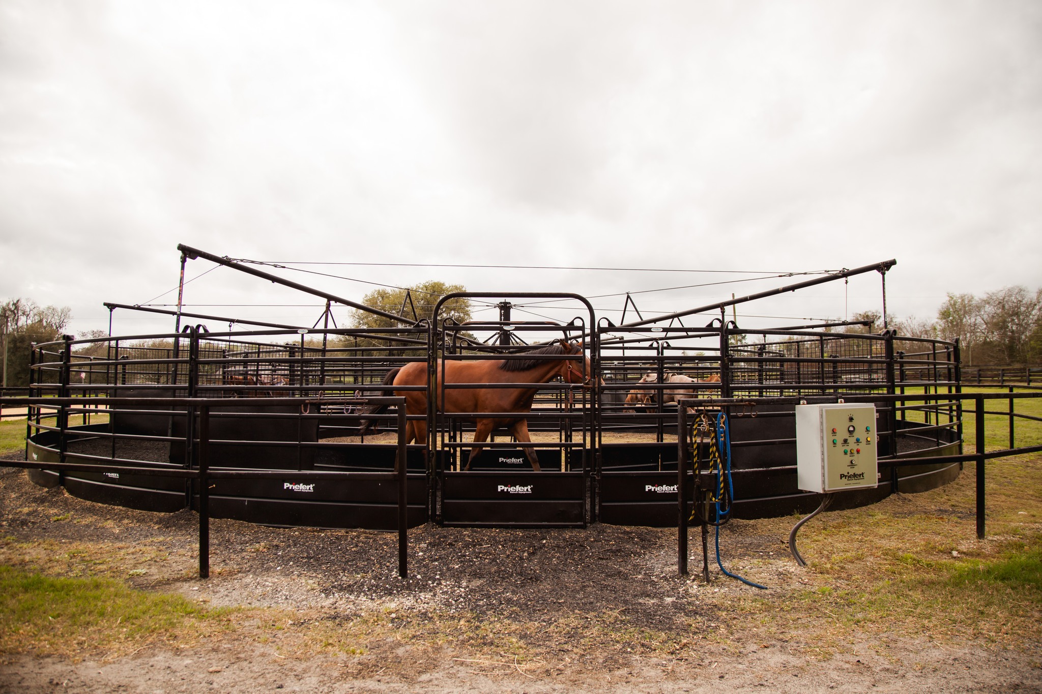 Priefert Horse Walker Web.jpg